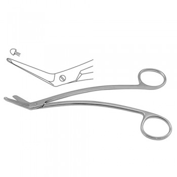Schmieden-Taylor Dissecting Scissor One Blade Probed Stainless Steel, 16.5 cm - 6 1/2"